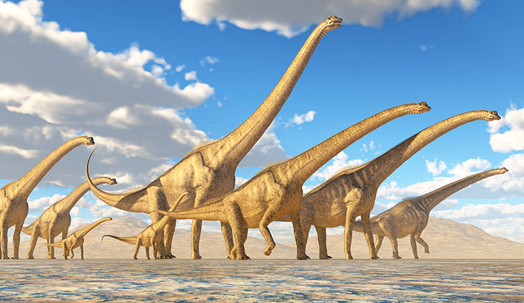 A herd of Sauroposeidon in a desert landscape