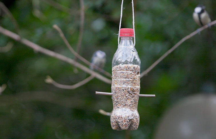 Two birds watch homemade plastic bottle bird feeder from a distance