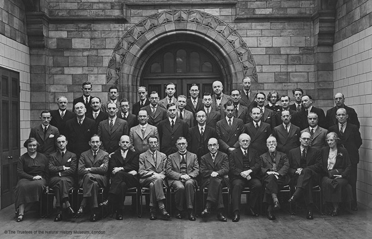 The Museum's Geology department in 1938