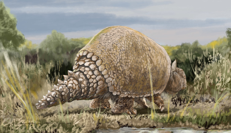 An artist's impression of a glyptodont eating