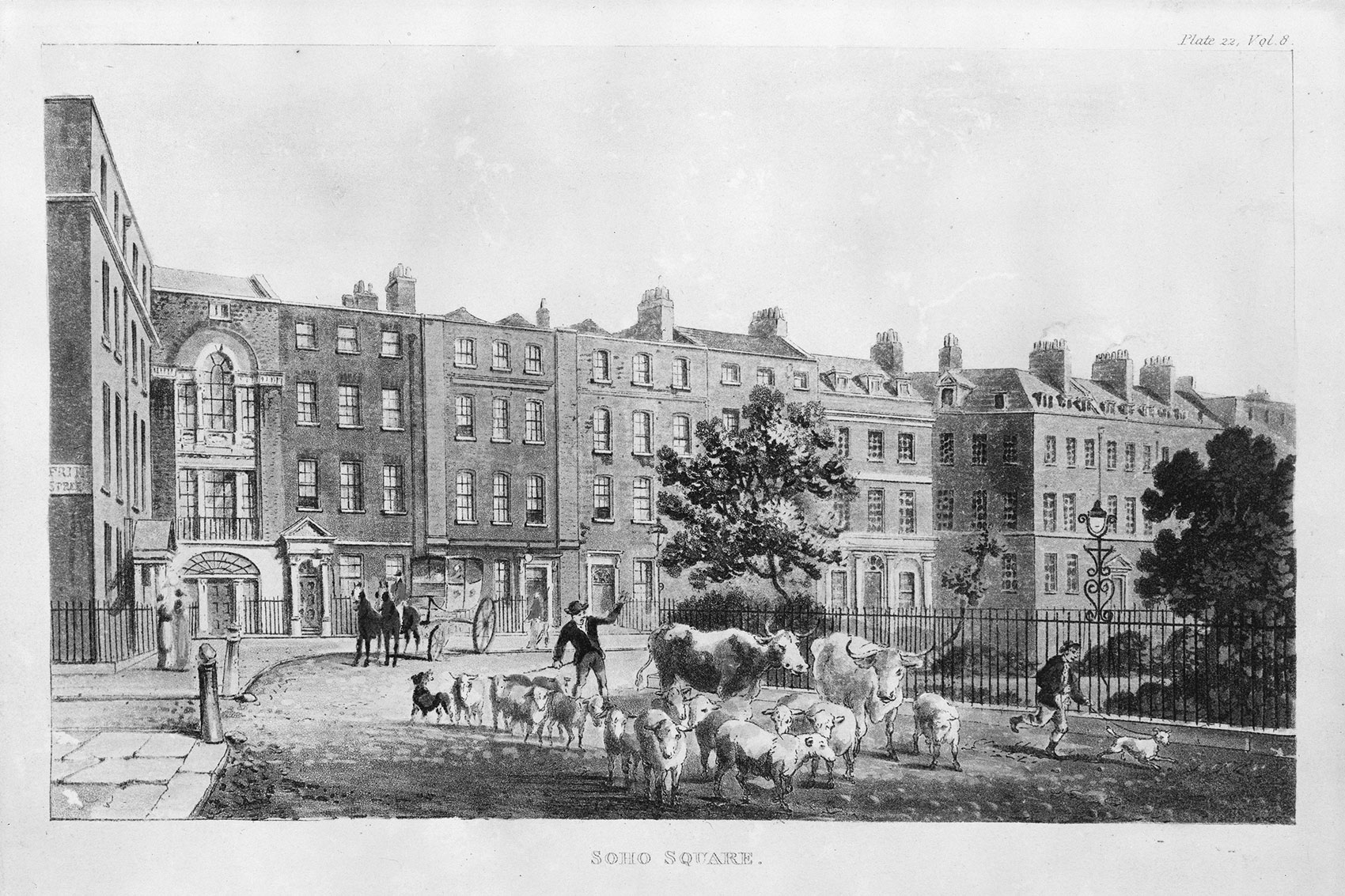Drawing of Joseph Banks's London home at Soho Square