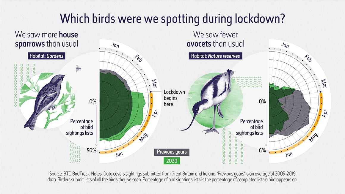 Which birds were spotted during lockdown? This graph demonstrates that users of BirdTrack noticed more birds in gardens, but less in nature reserves. Data for avocets and house sparrows is used an example.