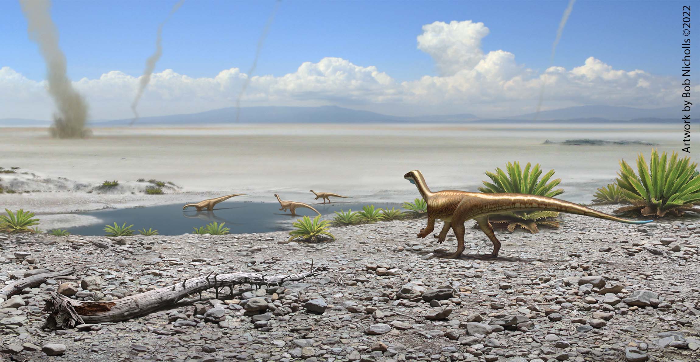An artist's impression of a small dinosaur looking out over a salt lake.