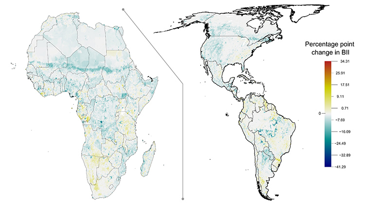 A map showing the continents Africa and North and South America, highlighting where biodiversity is increasing and where it is decreasing. 