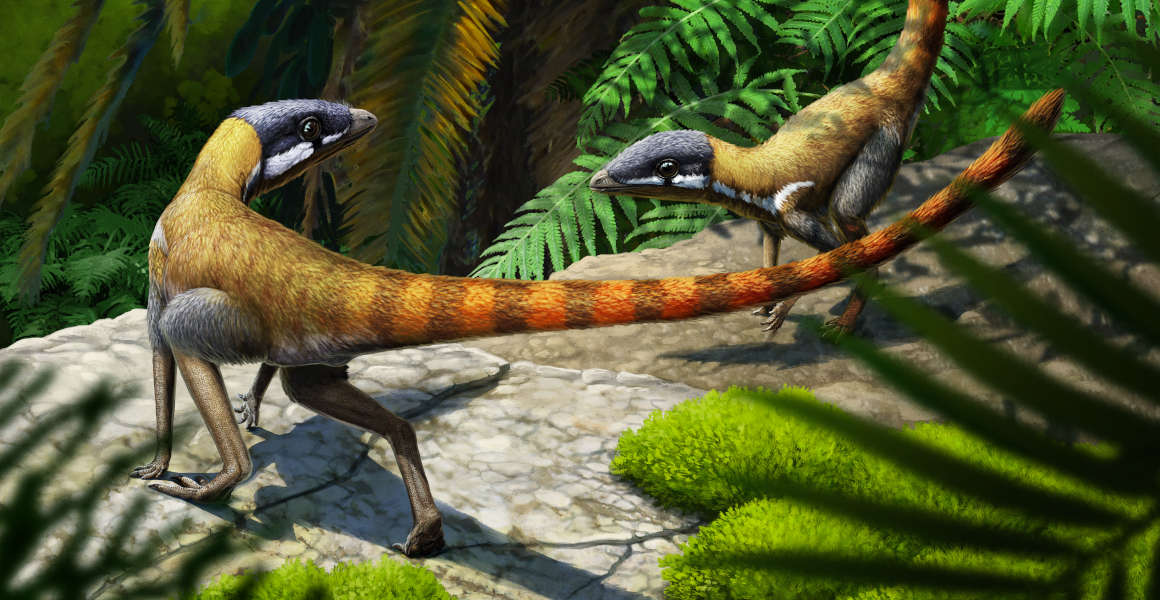An artist's impression of two Schleromochlus individuals in the Triassic
