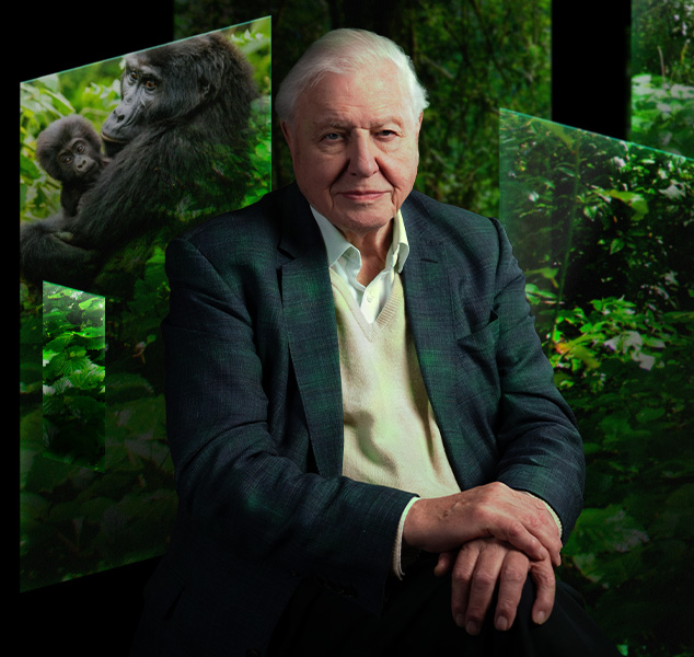 Sir David Attenborough sits in front of screens with chimpanzees and trees